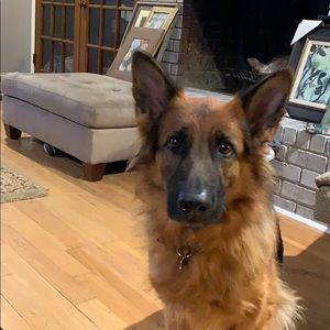 Meet your Posher, Joe